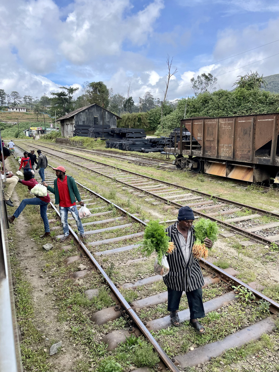 Константин Востриков четыре месяца прожил на острове в Индийском океане. Шри-Ланка — идеальное место для сёрфинга, а потому и пленила его возможностью поймать волну верхом на доске. Ради любимого хобби молодой человек был готов проводить на воде круглые сутки, а теперь, вернувшись домой во Владимир, вспоминает о том, как же это было круто!
