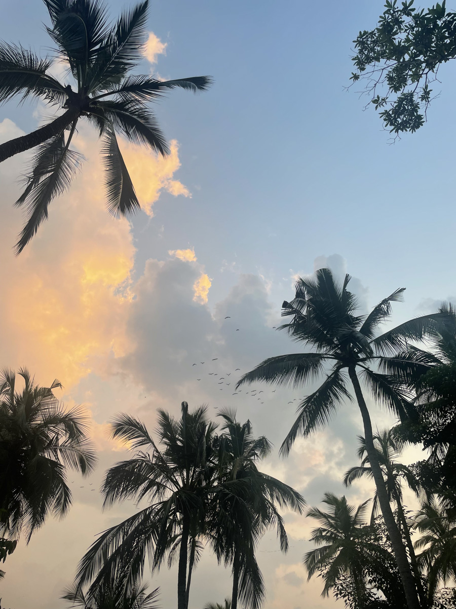 Константин Востриков четыре месяца прожил на острове в Индийском океане. Шри-Ланка — идеальное место для сёрфинга, а потому и пленила его возможностью поймать волну верхом на доске. Ради любимого хобби молодой человек был готов проводить на воде круглые сутки, а теперь, вернувшись домой во Владимир, вспоминает о том, как же это было круто!