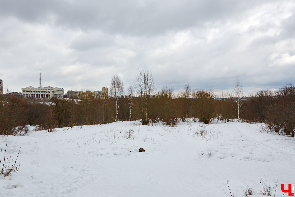 Городские парки — это в первую очередь живительный оазис посреди шумных и пыльных улиц. Сейчас во Владимире обсуждают сразу несколько горячих новостей по поводу наиболее популярных, но от этого не менее проблемных зеленых зон областного центра.