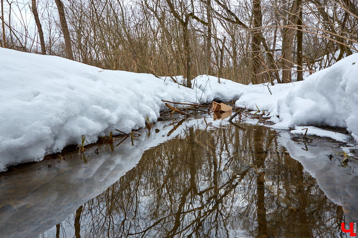 Городские парки — это в первую очередь живительный оазис посреди шумных и пыльных улиц. Сейчас во Владимире обсуждают сразу несколько горячих новостей по поводу наиболее популярных, но от этого не менее проблемных зеленых зон областного центра.