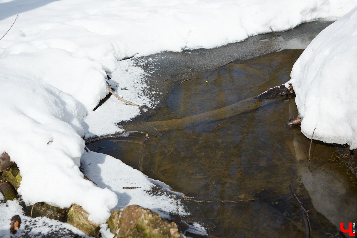Городские парки — это в первую очередь живительный оазис посреди шумных и пыльных улиц. Сейчас во Владимире обсуждают сразу несколько горячих новостей по поводу наиболее популярных, но от этого не менее проблемных зеленых зон областного центра.