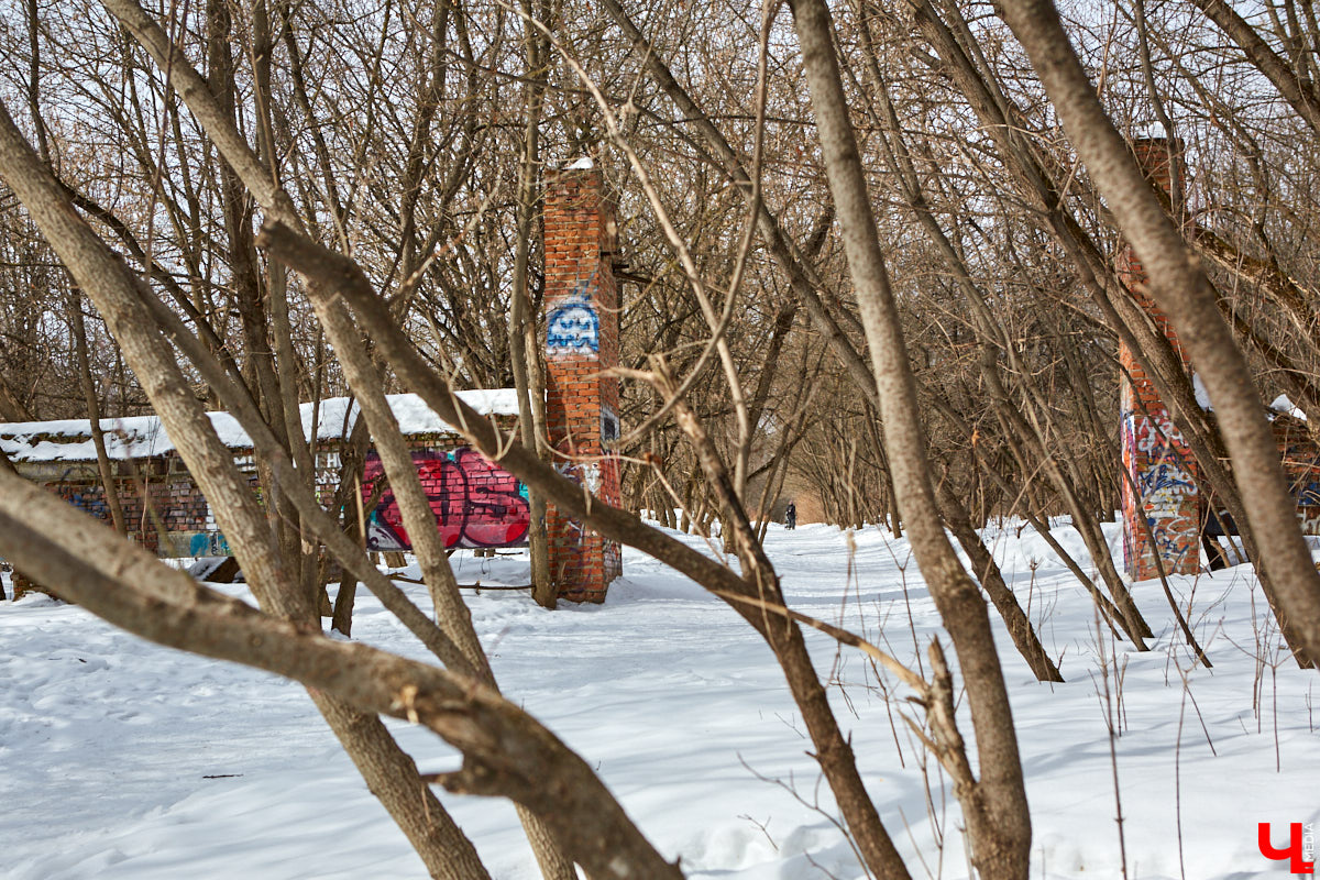 Городские парки — это в первую очередь живительный оазис посреди шумных и пыльных улиц. Сейчас во Владимире обсуждают сразу несколько горячих новостей по поводу наиболее популярных, но от этого не менее проблемных зеленых зон областного центра.