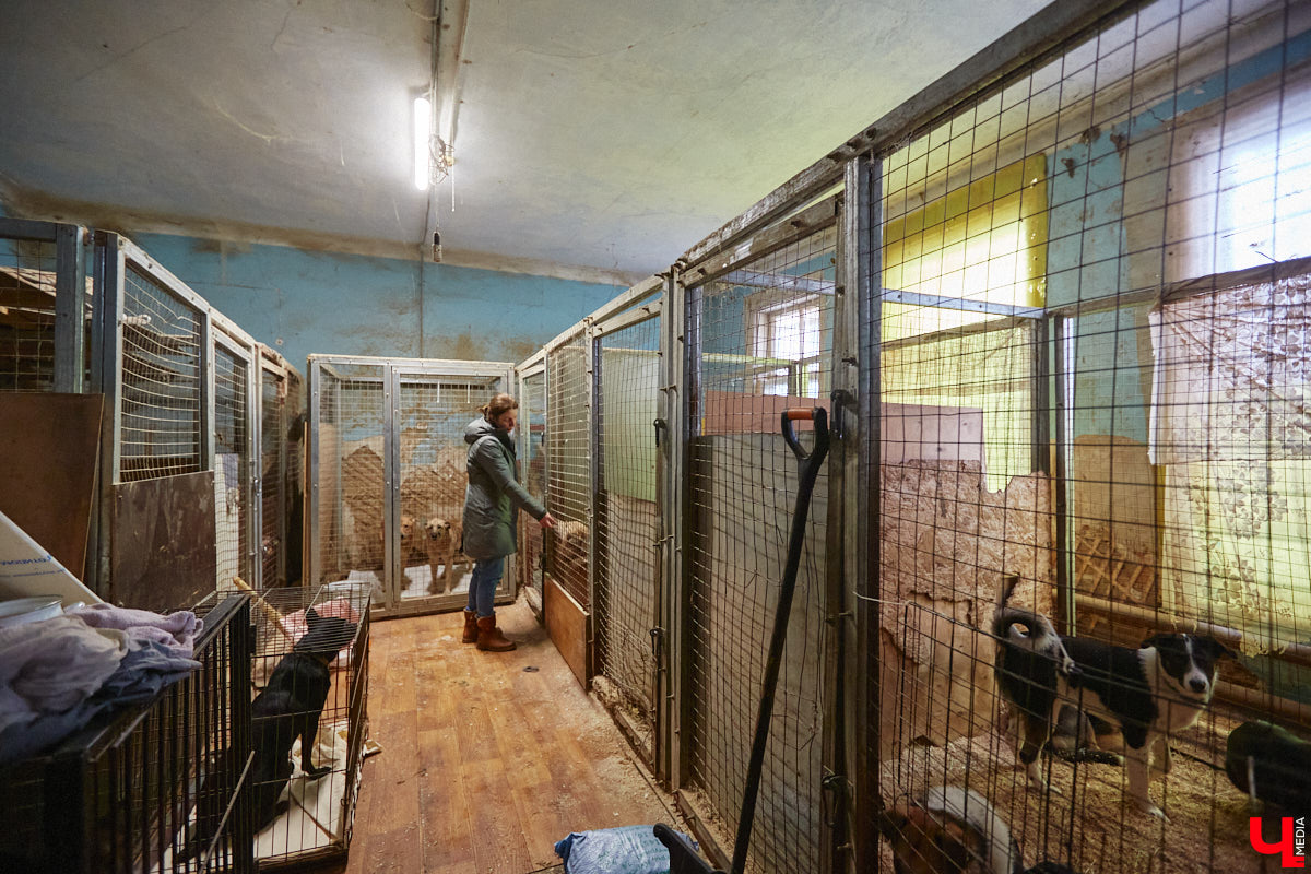 Переезд центра животных «Валента» с привычной и удобной многим улицы 16 лет Октября пора признать как данность. Плохо это или хорошо — пусть каждый останется при своем мнении. Тем временем хвостики и волонтеры уже готовятся менять локацию: 20 апреля будет вынесено решение, можно ли будет оборудовать приют в зоне П-2.