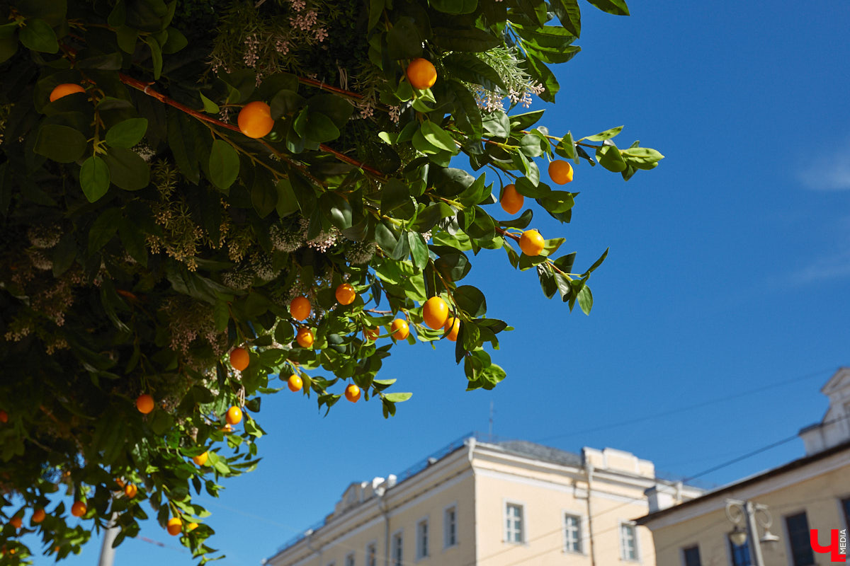 В мае 1925 года по Большой Московской улице, в подвале дома № 20, принадлежавшего ранее купцу В. А. Васильеву, случайно было обнаружено громадное хранилище ценных вещей, перечисление которых заняло около 5 печатных страниц, или 287 номеров. Ценность их в то время составила крупную сумму не в одну тысячу рублей. Но во Владимире сохранились и более дорогие объекты, принадлежавшие купцам Васильевым.