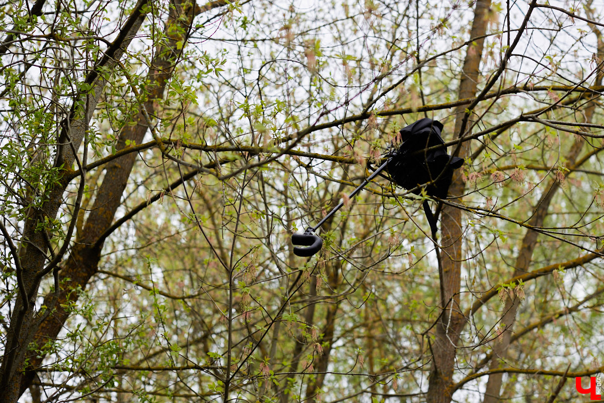 Ну что, уже привыкли к весеннему теплу? Погода за окном так и шепчет… Казалось бы, зима отступила окончательно! Но не спешите с выводами: ночные заморозки еще дадут о себе знать.