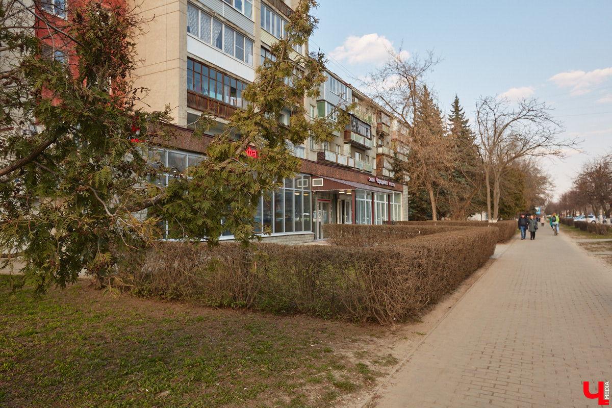 Борис Шиганов один из тех, кто создавал послевоенный облик нашего города. Наибольший вклад мужчина внес в развитие проспекта Ленина. «Ключ-Медиа» прошелся по его широким тротуарам, оценив самые интересные проекты владимирского архитектора.