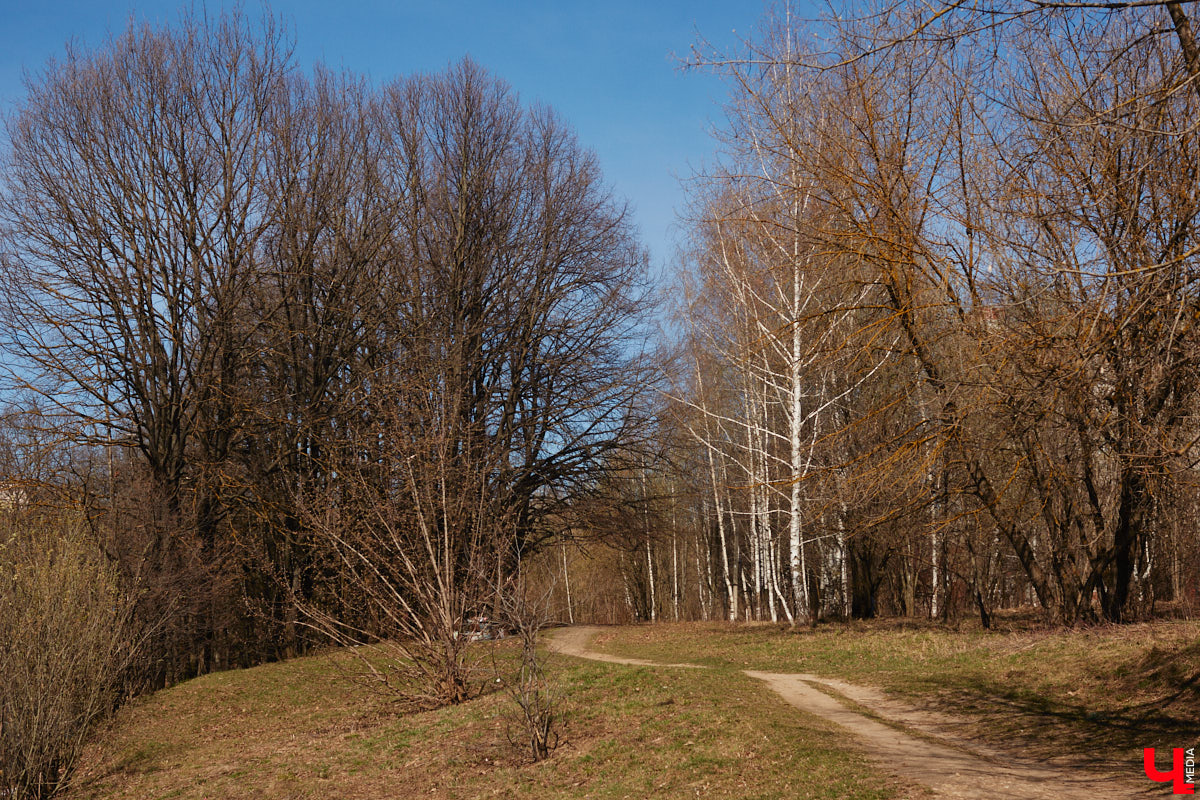 Синоптики обещают 33-му региону теплую погоду на протяжении всей недели. К выходным воздух прогреется до плюс 18 градусов, а про заморозки ночью, скорее всего, пора уже забыть.