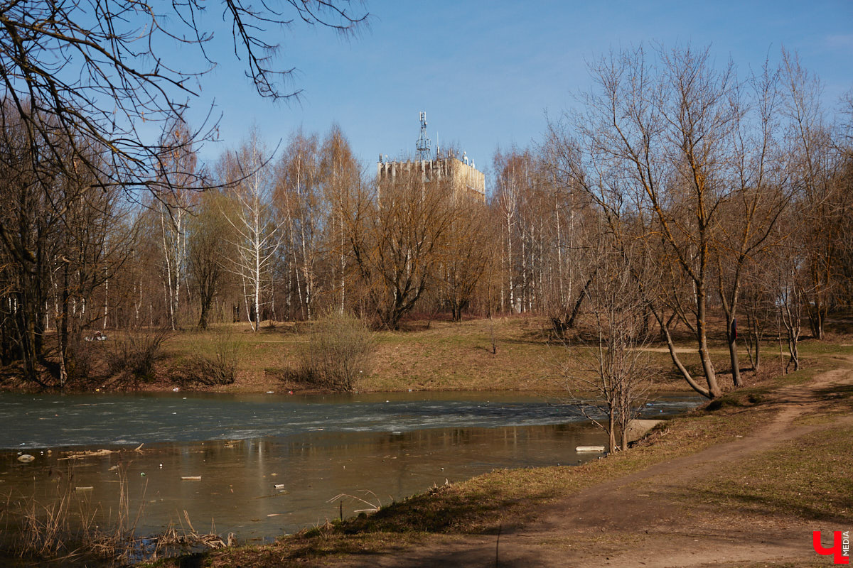 Синоптики обещают 33-му региону теплую погоду на протяжении всей недели. К выходным воздух прогреется до плюс 18 градусов, а про заморозки ночью, скорее всего, пора уже забыть.