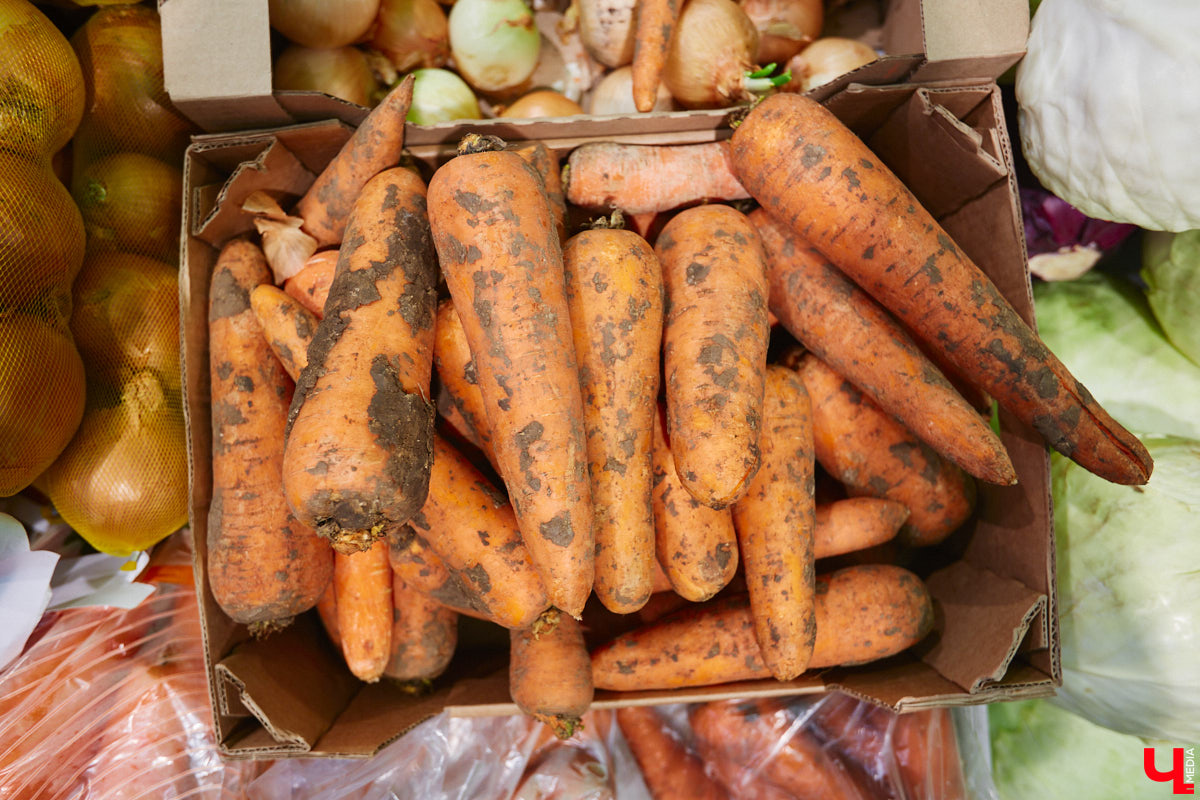 Владимирский аниматор Влад Гербера в эпатажном костюме моркови вызвал замешательство у покупателей торгового центра во время съемок кулинарной рубрики «Ключ-Медиа».