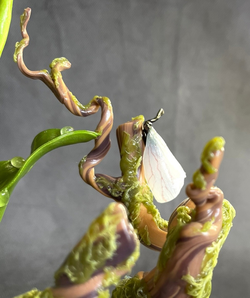 Елена Дьячкова победила в конкурсе для мастеров, работающих со сладкими материалами. Ее «Венерин башмачок» из карамели удивил членов жюри своей реалистичностью и филигранностью исполнения.