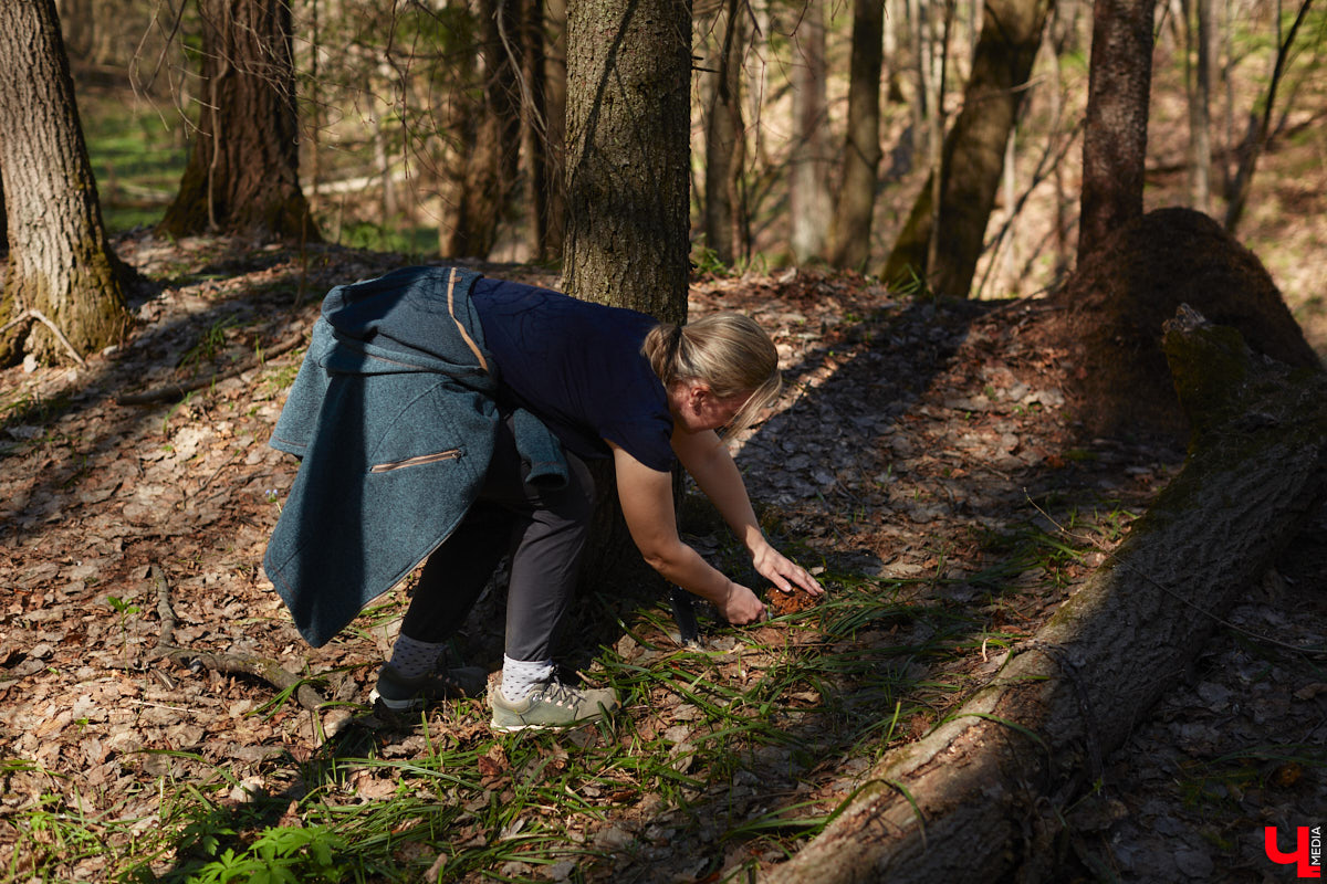 Замереть в глубине леса с телефоном в руках, чтобы сделать отличный снимок. Профессиональный грибник из Владимира Анна Писаренко уже пять лет ведет свой канал в социальных сетях. Среди ее лесных находок есть крайне интересные экземпляры.