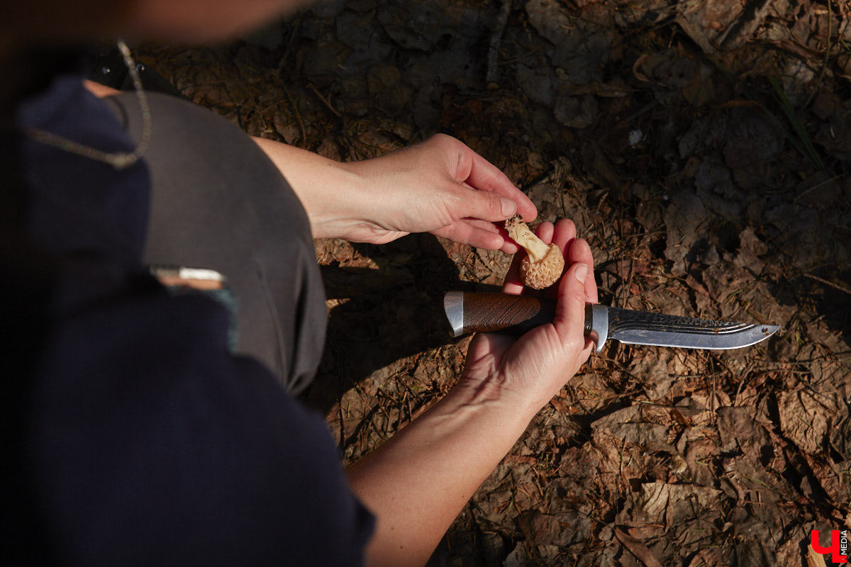 Замереть в глубине леса с телефоном в руках, чтобы сделать отличный снимок. Профессиональный грибник из Владимира Анна Писаренко уже пять лет ведет свой канал в социальных сетях. Среди ее лесных находок есть крайне интересные экземпляры.