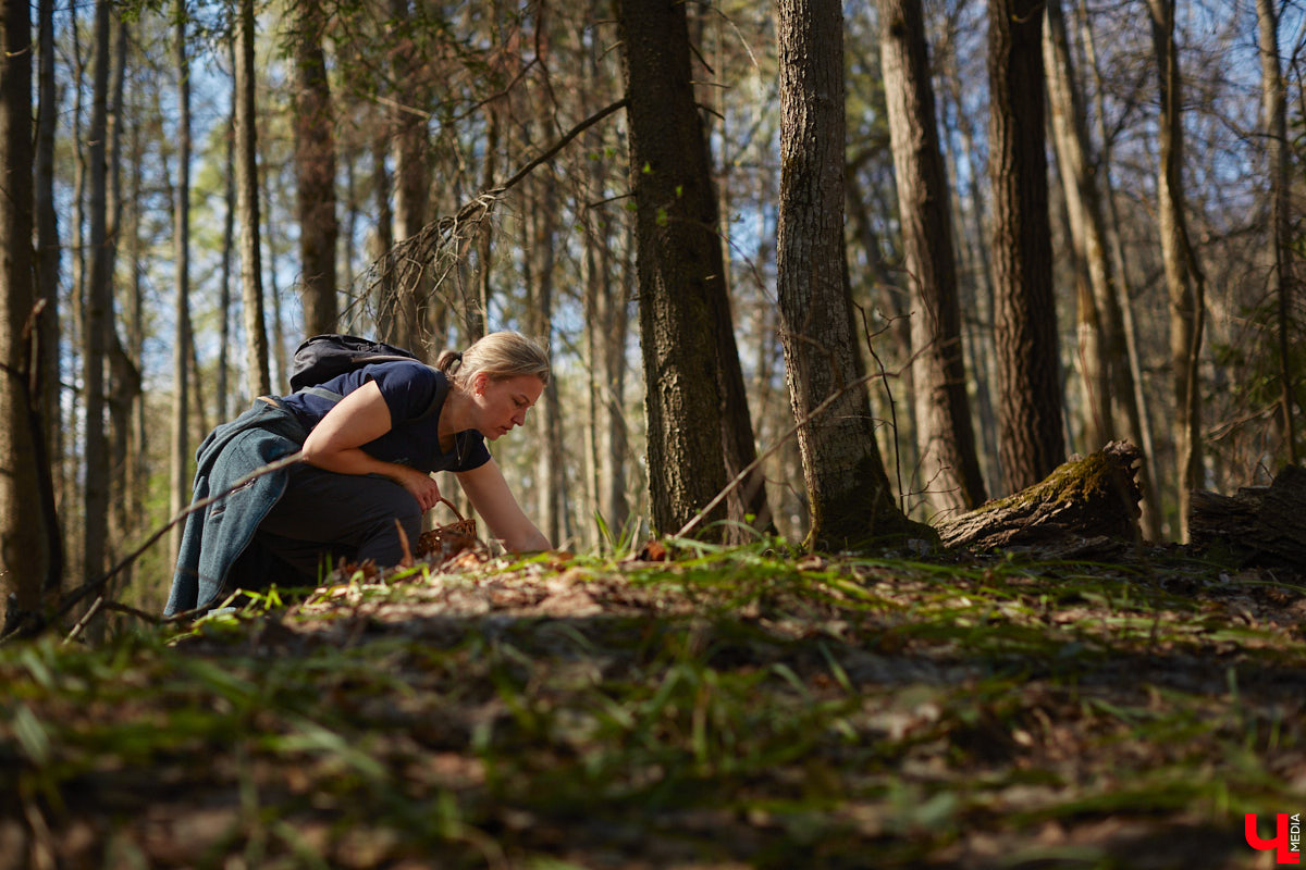 Замереть в глубине леса с телефоном в руках, чтобы сделать отличный снимок. Профессиональный грибник из Владимира Анна Писаренко уже пять лет ведет свой канал в социальных сетях. Среди ее лесных находок есть крайне интересные экземпляры.
