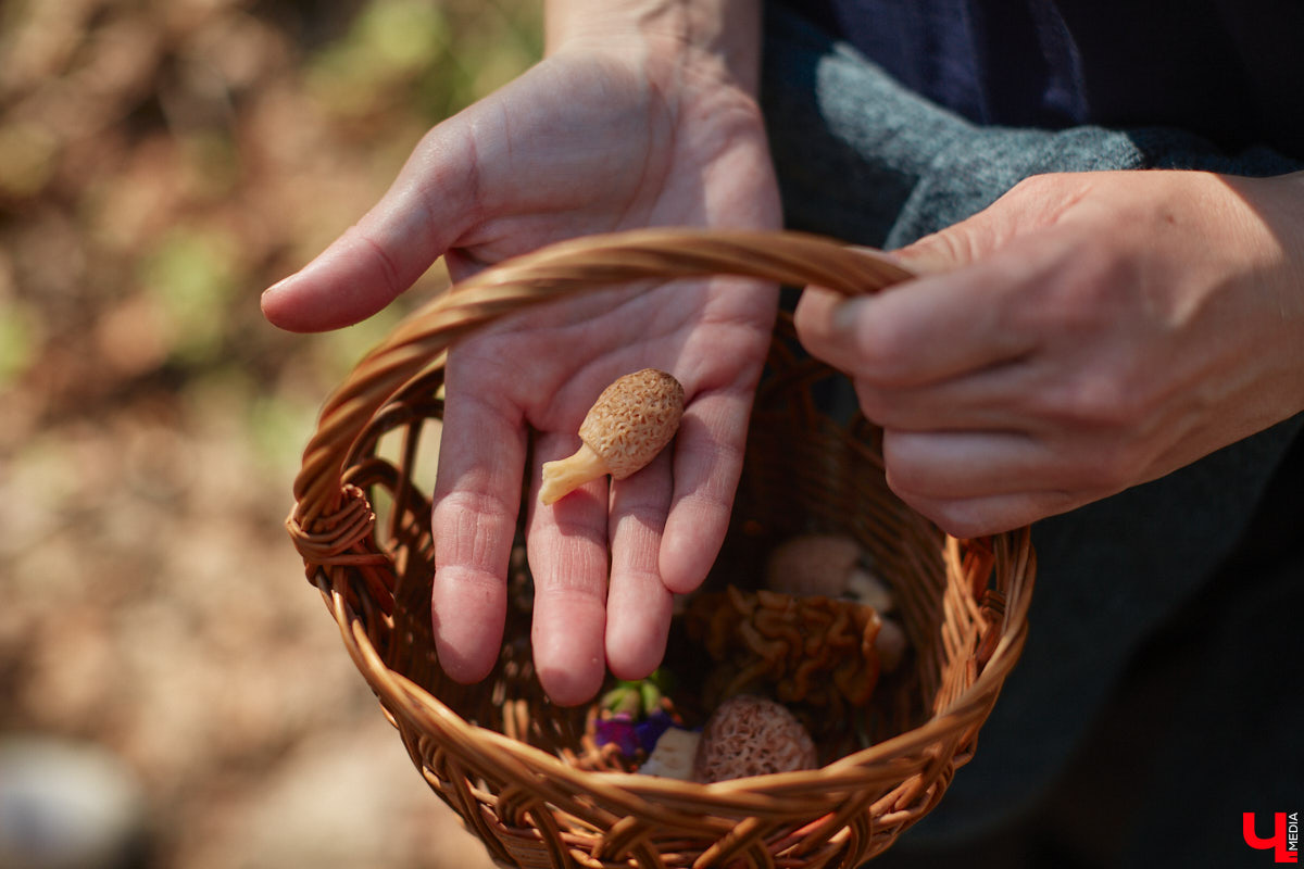 Замереть в глубине леса с телефоном в руках, чтобы сделать отличный снимок. Профессиональный грибник из Владимира Анна Писаренко уже пять лет ведет свой канал в социальных сетях. Среди ее лесных находок есть крайне интересные экземпляры.