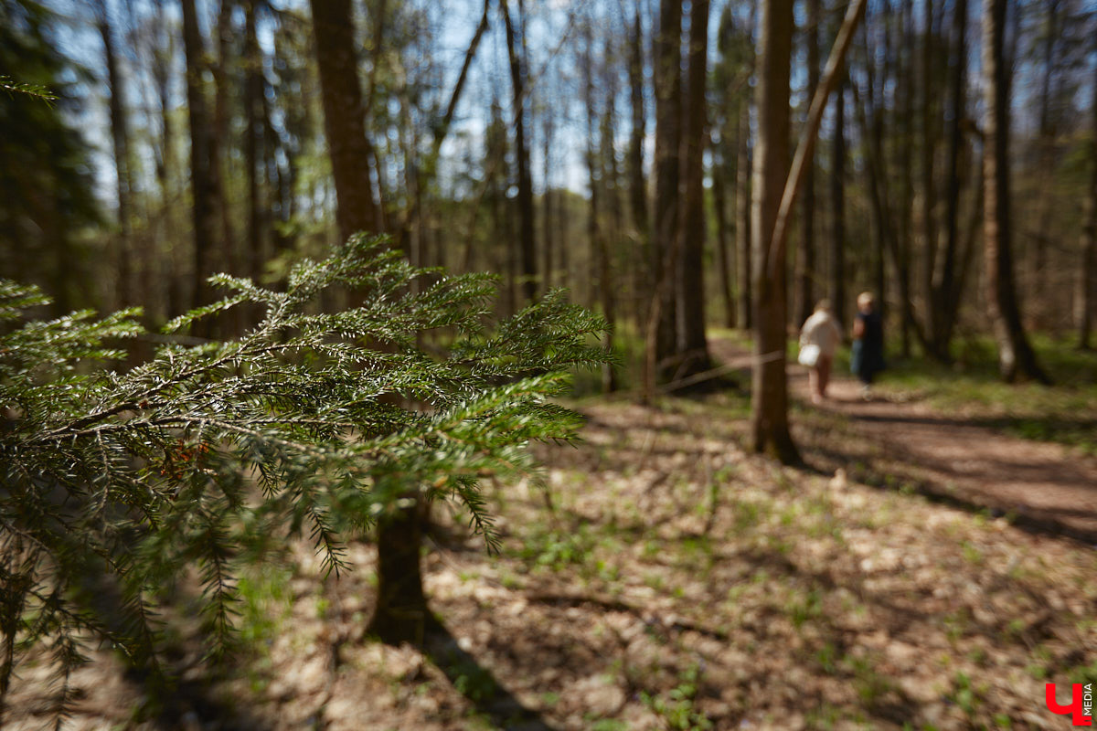 Замереть в глубине леса с телефоном в руках, чтобы сделать отличный снимок. Профессиональный грибник из Владимира Анна Писаренко уже пять лет ведет свой канал в социальных сетях. Среди ее лесных находок есть крайне интересные экземпляры.