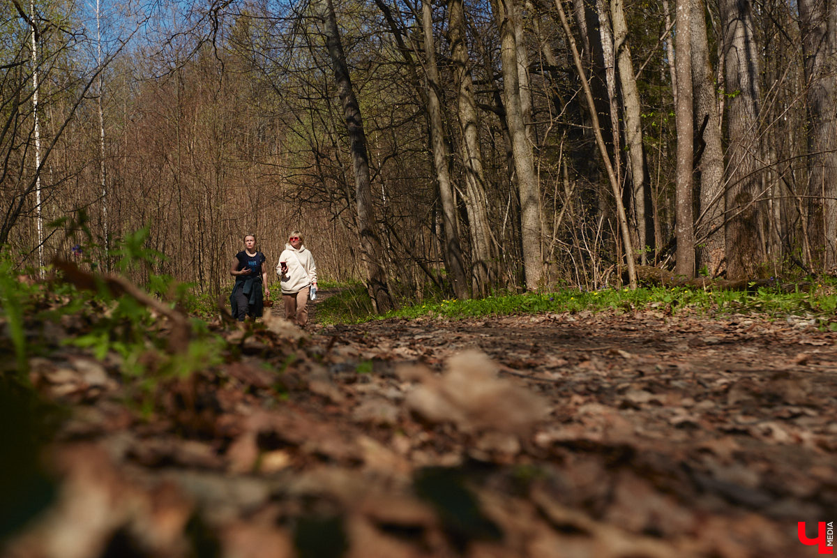 Замереть в глубине леса с телефоном в руках, чтобы сделать отличный снимок. Профессиональный грибник из Владимира Анна Писаренко уже пять лет ведет свой канал в социальных сетях. Среди ее лесных находок есть крайне интересные экземпляры.