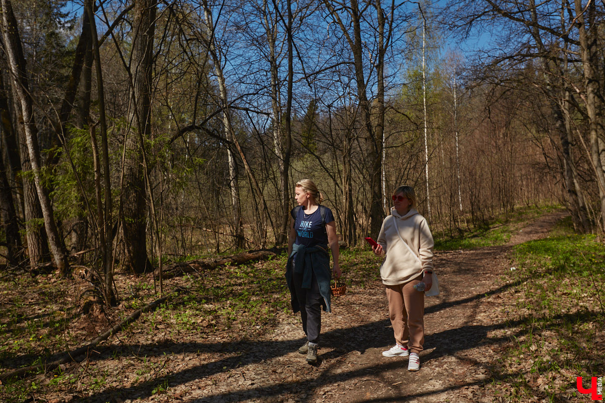 Замереть в глубине леса с телефоном в руках, чтобы сделать отличный снимок. Профессиональный грибник из Владимира Анна Писаренко уже пять лет ведет свой канал в социальных сетях. Среди ее лесных находок есть крайне интересные экземпляры.