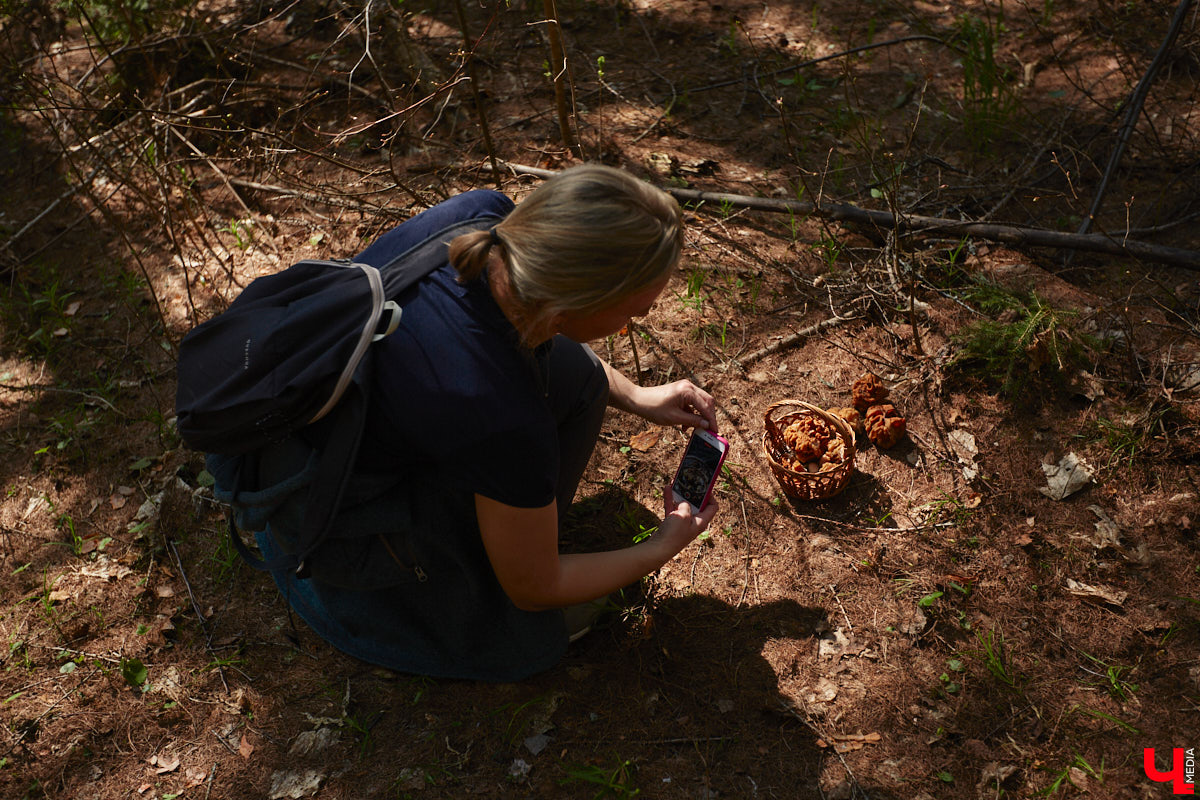 Замереть в глубине леса с телефоном в руках, чтобы сделать отличный снимок. Профессиональный грибник из Владимира Анна Писаренко уже пять лет ведет свой канал в социальных сетях. Среди ее лесных находок есть крайне интересные экземпляры.