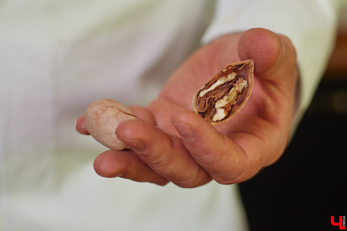 Концертный директор «ЦЕХа» приготовила любимые бутерброды певицы Мари Краймбрери, напоминающие знаменитый французский пирог. Их рецепт Ирина Трошина выведала у звезды во время ее гастролей во Владимире.