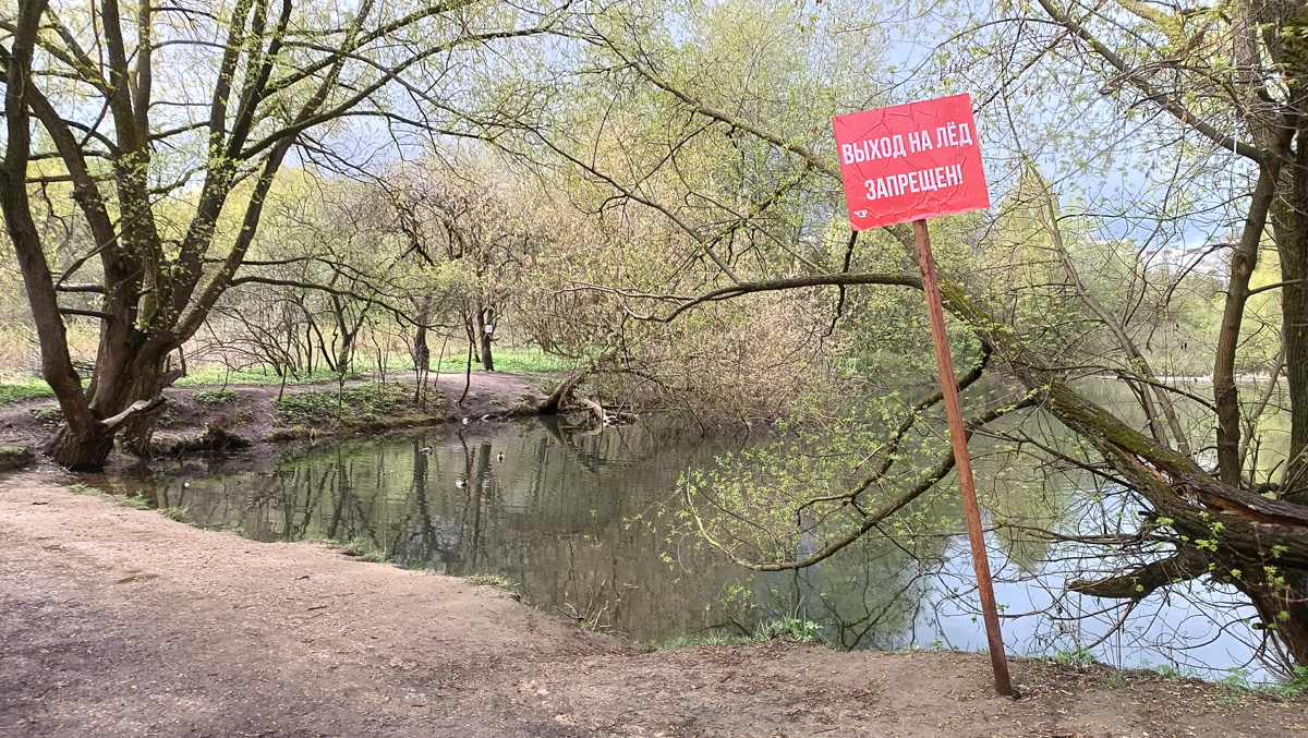 Дождались! Уже заказан новый проект благоустройства старых садов у ДДюТ. И это хорошая новость. Но есть один не очень приятный нюанс. Во время работ один из трех прудов на улице Мира предлагают засыпать, а на его месте организовать парковку и входную группу на территорию.