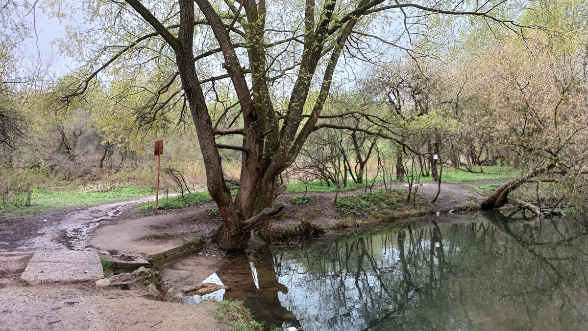 Дождались! Уже заказан новый проект благоустройства старых садов у ДДюТ. И это хорошая новость. Но есть один не очень приятный нюанс. Во время работ один из трех прудов на улице Мира предлагают засыпать, а на его месте организовать парковку и входную группу на территорию.