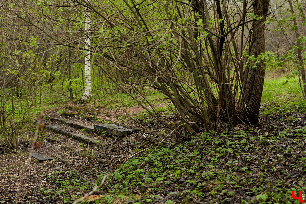 Дождались! Уже заказан новый проект благоустройства старых садов у ДДюТ. И это хорошая новость. Но есть один не очень приятный нюанс. Во время работ один из трех прудов на улице Мира предлагают засыпать, а на его месте организовать парковку и входную группу на территорию.