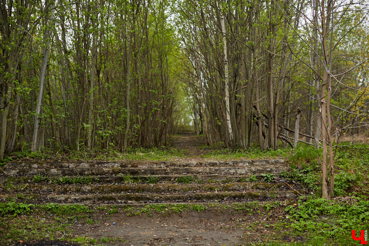 Дождались! Уже заказан новый проект благоустройства старых садов у ДДюТ. И это хорошая новость. Но есть один не очень приятный нюанс. Во время работ один из трех прудов на улице Мира предлагают засыпать, а на его месте организовать парковку и входную группу на территорию.