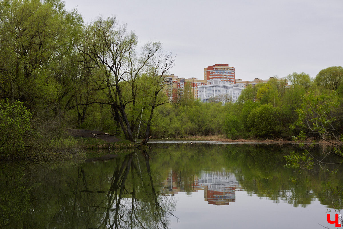 Дождались! Уже заказан новый проект благоустройства старых садов у ДДюТ. И это хорошая новость. Но есть один не очень приятный нюанс. Во время работ один из трех прудов на улице Мира предлагают засыпать, а на его месте организовать парковку и входную группу на территорию.