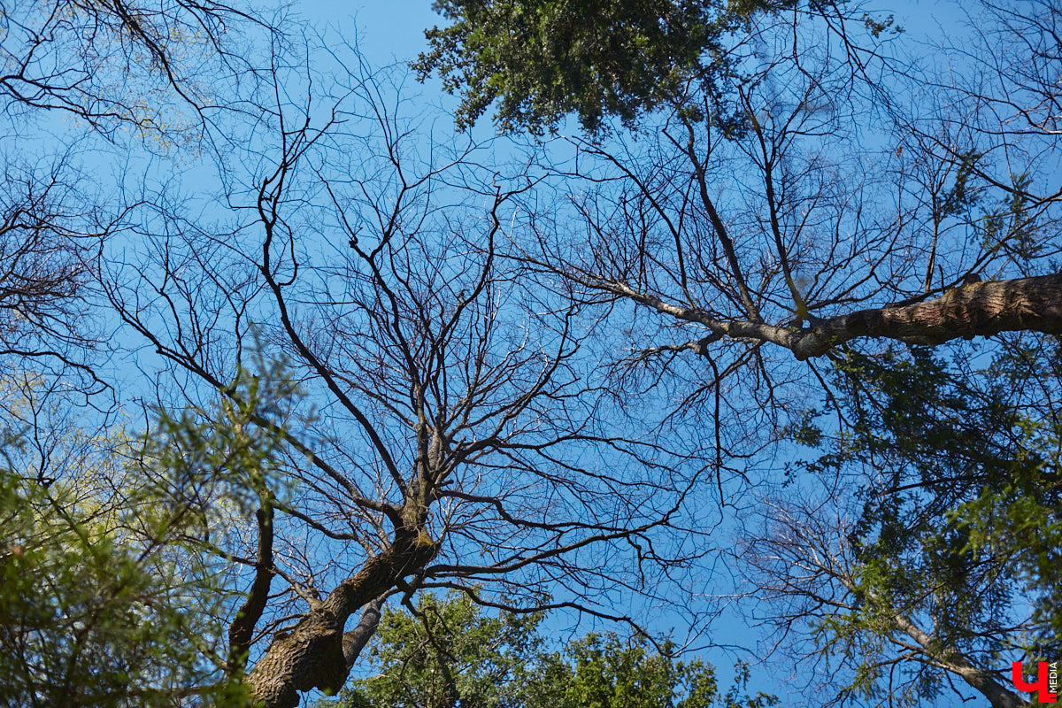 Первая часть майских праздников уже позади. Однако впереди на горизонте маячат еще одни длинные выходные. А значит, вопрос, какой же будет погода на них, да и вообще в последний месяц весны, по-прежнему актуален.