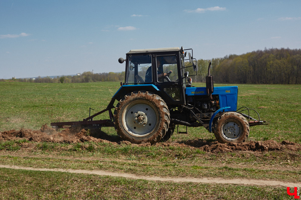 После череды дождей, ночных заморозков и сильного ветра в 33-й регион вернулась полноценная весна. Но как долго продлится долгожданное потепление? Читайте в нашем прогнозе погоды.