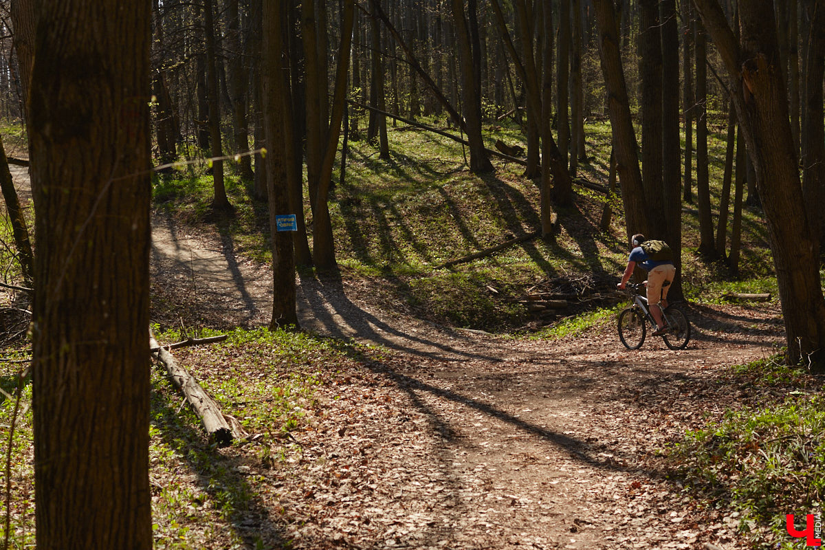 После череды дождей, ночных заморозков и сильного ветра в 33-й регион вернулась полноценная весна. Но как долго продлится долгожданное потепление? Читайте в нашем прогнозе погоды.