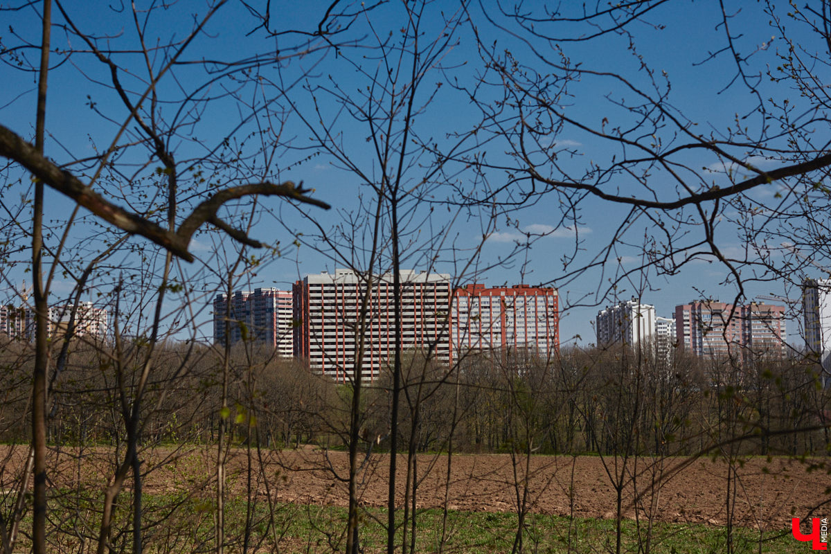 После череды дождей, ночных заморозков и сильного ветра в 33-й регион вернулась полноценная весна. Но как долго продлится долгожданное потепление? Читайте в нашем прогнозе погоды.