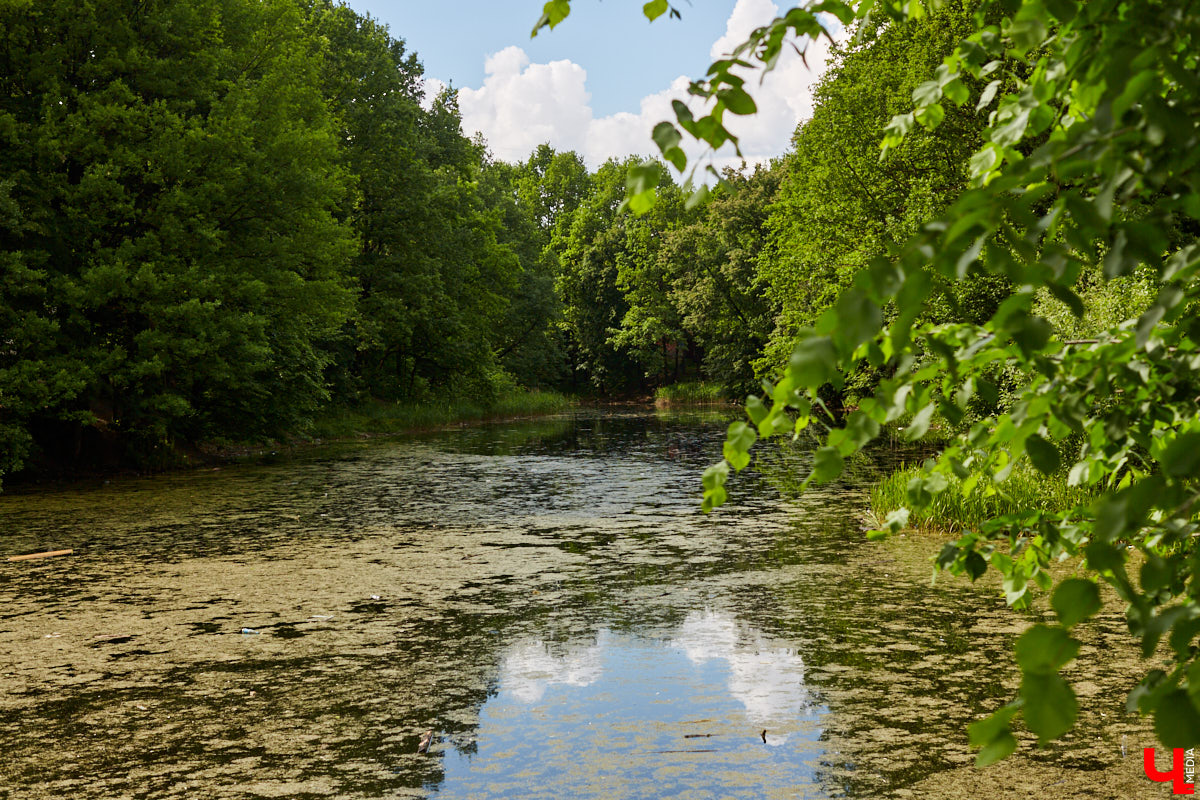 Только по официальным данным во Владимире больше сотни прудов, при этом благоустроены всего несколько из них. На остальных в лучшем случае не очень грязно. «Ключ-Медиа» проинспектировал самые популярные водоемы областного центра и спросил у местных жителей и экспертов, чего им не хватает, чтобы стать новой визитной карточкой города.
