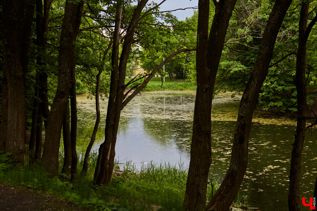 Только по официальным данным во Владимире больше сотни прудов, при этом благоустроены всего несколько из них. На остальных в лучшем случае не очень грязно. «Ключ-Медиа» проинспектировал самые популярные водоемы областного центра и спросил у местных жителей и экспертов, чего им не хватает, чтобы стать новой визитной карточкой города.
