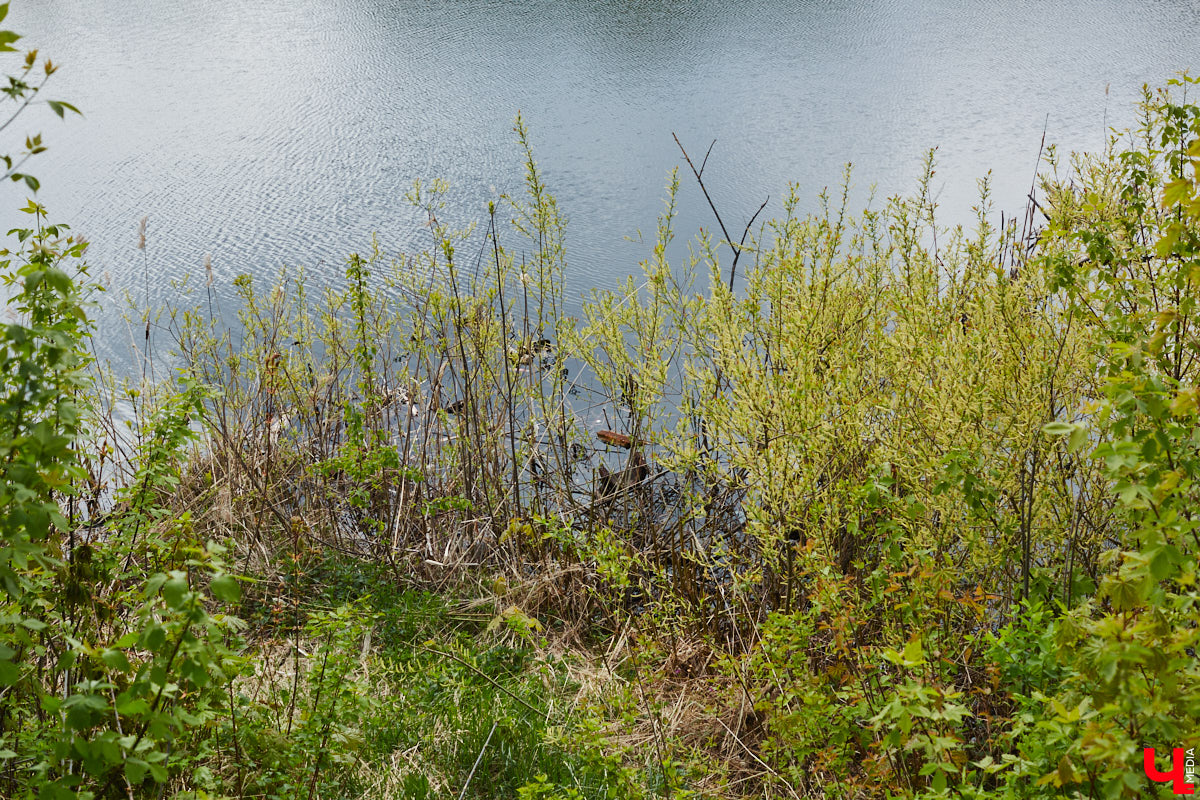 Только по официальным данным во Владимире больше сотни прудов, при этом благоустроены всего несколько из них. На остальных в лучшем случае не очень грязно. «Ключ-Медиа» проинспектировал самые популярные водоемы областного центра и спросил у местных жителей и экспертов, чего им не хватает, чтобы стать новой визитной карточкой города.