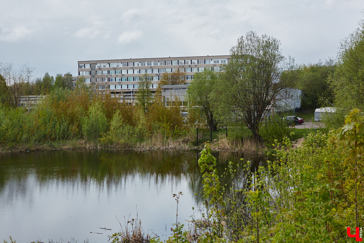 Только по официальным данным во Владимире больше сотни прудов, при этом благоустроены всего несколько из них. На остальных в лучшем случае не очень грязно. «Ключ-Медиа» проинспектировал самые популярные водоемы областного центра и спросил у местных жителей и экспертов, чего им не хватает, чтобы стать новой визитной карточкой города.