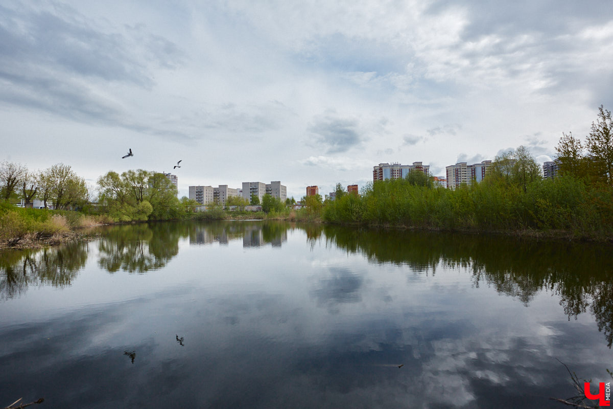 Только по официальным данным во Владимире больше сотни прудов, при этом благоустроены всего несколько из них. На остальных в лучшем случае не очень грязно. «Ключ-Медиа» проинспектировал самые популярные водоемы областного центра и спросил у местных жителей и экспертов, чего им не хватает, чтобы стать новой визитной карточкой города.