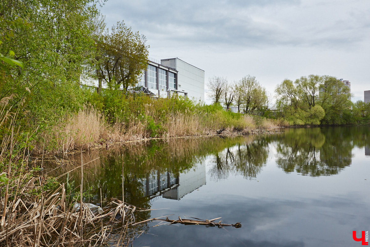 Только по официальным данным во Владимире больше сотни прудов, при этом благоустроены всего несколько из них. На остальных в лучшем случае не очень грязно. «Ключ-Медиа» проинспектировал самые популярные водоемы областного центра и спросил у местных жителей и экспертов, чего им не хватает, чтобы стать новой визитной карточкой города.