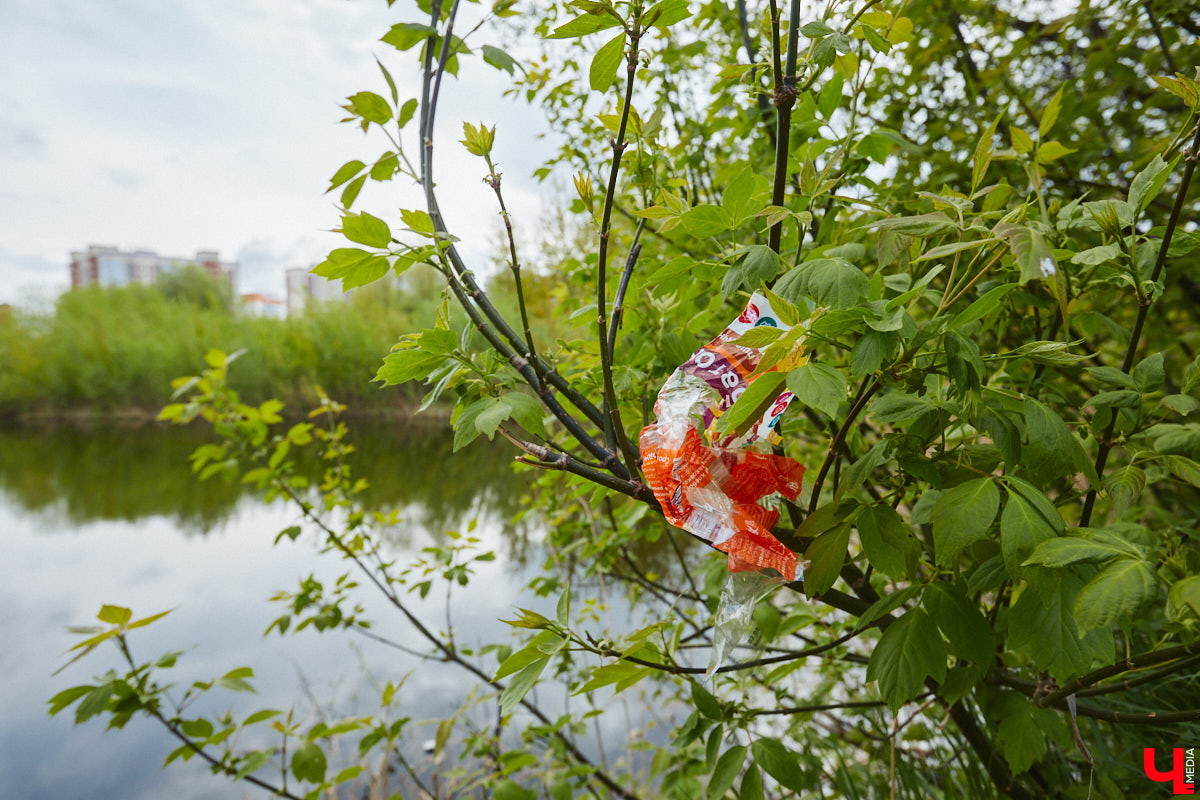 Только по официальным данным во Владимире больше сотни прудов, при этом благоустроены всего несколько из них. На остальных в лучшем случае не очень грязно. «Ключ-Медиа» проинспектировал самые популярные водоемы областного центра и спросил у местных жителей и экспертов, чего им не хватает, чтобы стать новой визитной карточкой города.