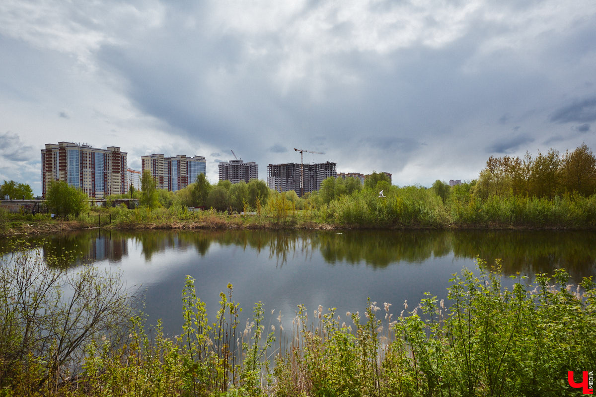 Только по официальным данным во Владимире больше сотни прудов, при этом благоустроены всего несколько из них. На остальных в лучшем случае не очень грязно. «Ключ-Медиа» проинспектировал самые популярные водоемы областного центра и спросил у местных жителей и экспертов, чего им не хватает, чтобы стать новой визитной карточкой города.