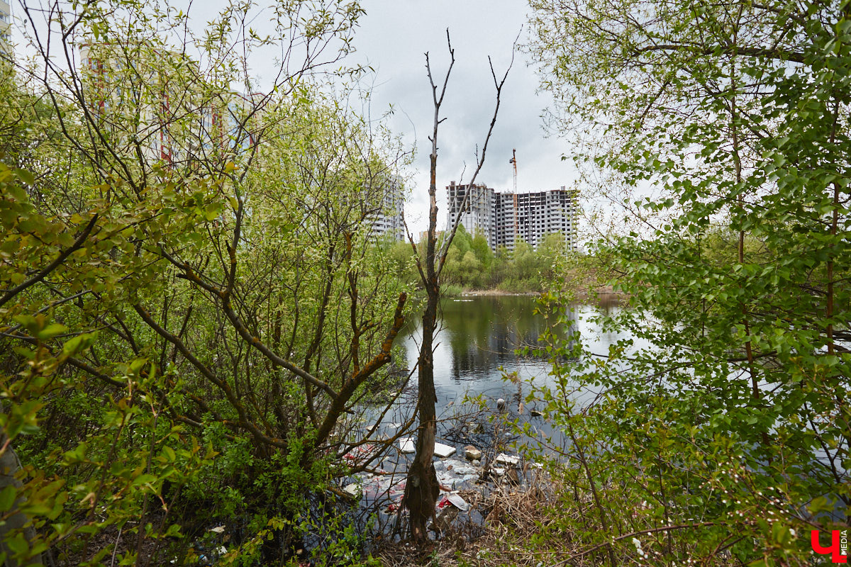 Только по официальным данным во Владимире больше сотни прудов, при этом благоустроены всего несколько из них. На остальных в лучшем случае не очень грязно. «Ключ-Медиа» проинспектировал самые популярные водоемы областного центра и спросил у местных жителей и экспертов, чего им не хватает, чтобы стать новой визитной карточкой города.