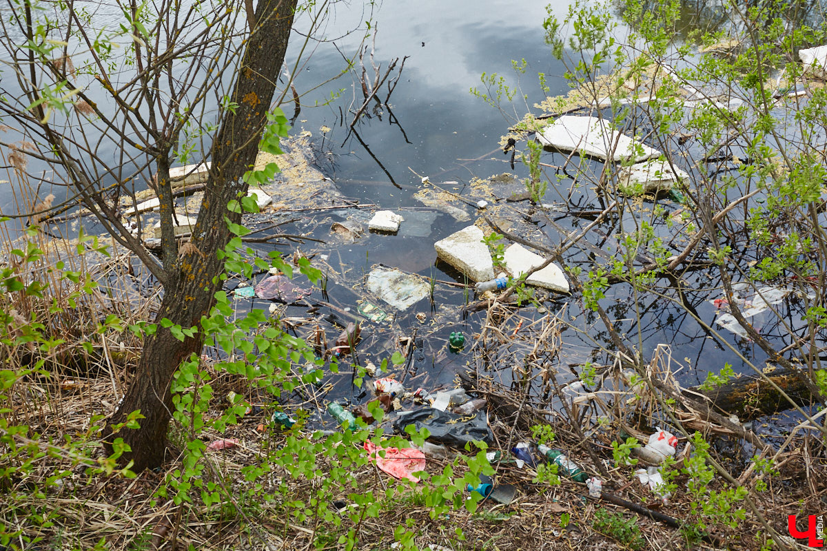 Только по официальным данным во Владимире больше сотни прудов, при этом благоустроены всего несколько из них. На остальных в лучшем случае не очень грязно. «Ключ-Медиа» проинспектировал самые популярные водоемы областного центра и спросил у местных жителей и экспертов, чего им не хватает, чтобы стать новой визитной карточкой города.