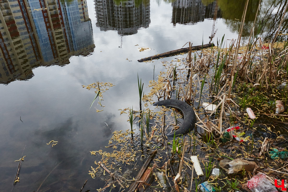 Только по официальным данным во Владимире больше сотни прудов, при этом благоустроены всего несколько из них. На остальных в лучшем случае не очень грязно. «Ключ-Медиа» проинспектировал самые популярные водоемы областного центра и спросил у местных жителей и экспертов, чего им не хватает, чтобы стать новой визитной карточкой города.
