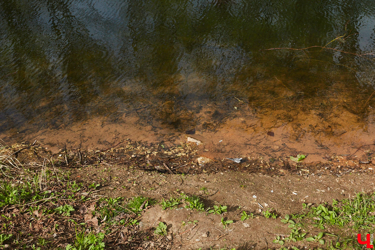 Только по официальным данным во Владимире больше сотни прудов, при этом благоустроены всего несколько из них. На остальных в лучшем случае не очень грязно. «Ключ-Медиа» проинспектировал самые популярные водоемы областного центра и спросил у местных жителей и экспертов, чего им не хватает, чтобы стать новой визитной карточкой города.