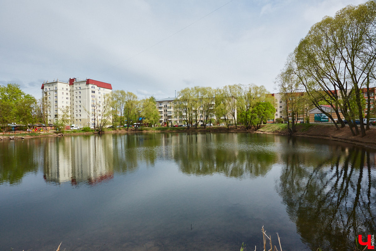 Только по официальным данным во Владимире больше сотни прудов, при этом благоустроены всего несколько из них. На остальных в лучшем случае не очень грязно. «Ключ-Медиа» проинспектировал самые популярные водоемы областного центра и спросил у местных жителей и экспертов, чего им не хватает, чтобы стать новой визитной карточкой города.