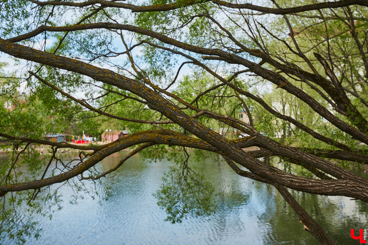 Только по официальным данным во Владимире больше сотни прудов, при этом благоустроены всего несколько из них. На остальных в лучшем случае не очень грязно. «Ключ-Медиа» проинспектировал самые популярные водоемы областного центра и спросил у местных жителей и экспертов, чего им не хватает, чтобы стать новой визитной карточкой города.
