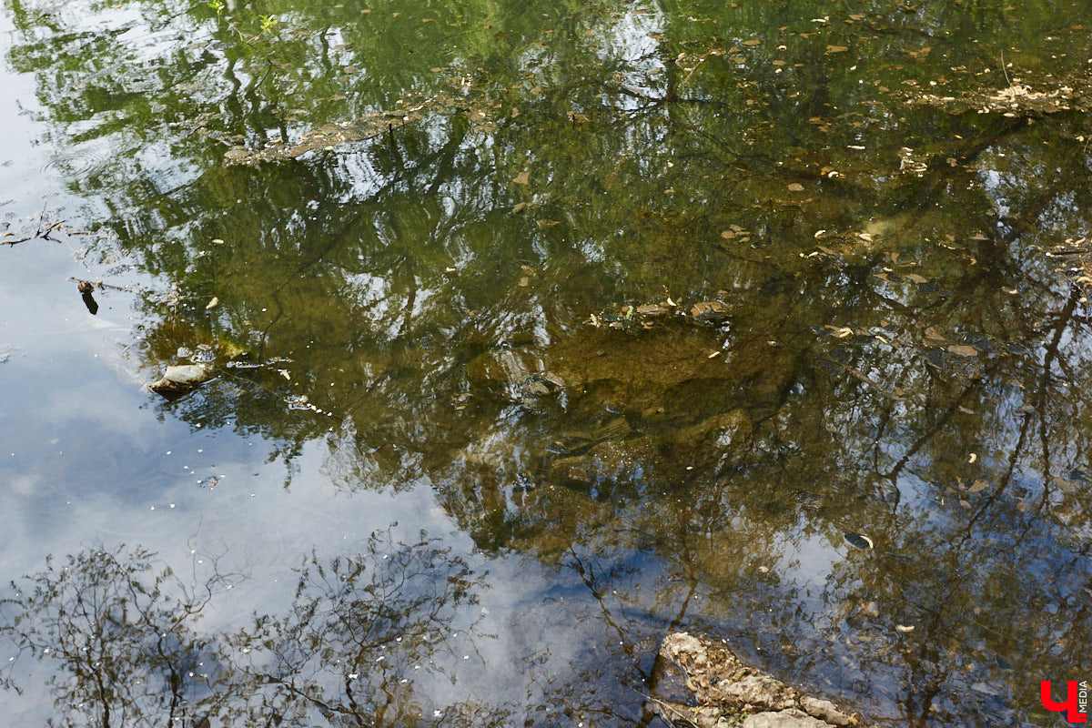 Только по официальным данным во Владимире больше сотни прудов, при этом благоустроены всего несколько из них. На остальных в лучшем случае не очень грязно. «Ключ-Медиа» проинспектировал самые популярные водоемы областного центра и спросил у местных жителей и экспертов, чего им не хватает, чтобы стать новой визитной карточкой города.