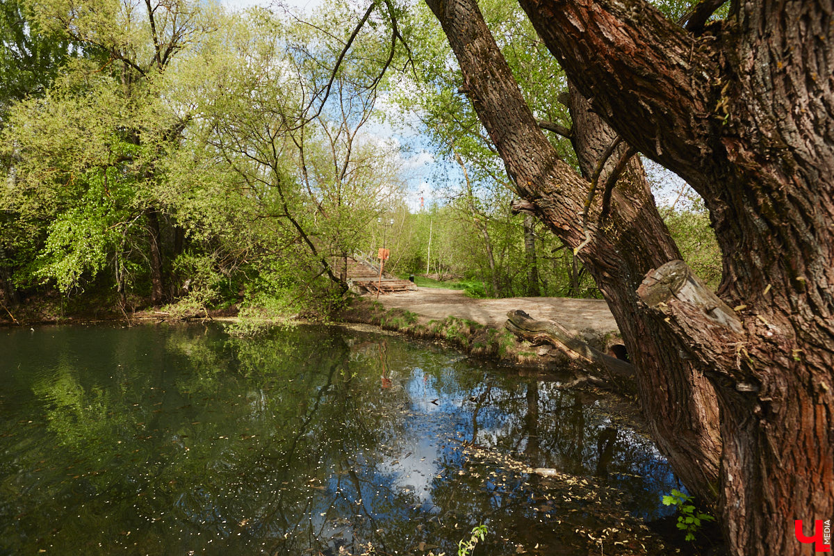 Только по официальным данным во Владимире больше сотни прудов, при этом благоустроены всего несколько из них. На остальных в лучшем случае не очень грязно. «Ключ-Медиа» проинспектировал самые популярные водоемы областного центра и спросил у местных жителей и экспертов, чего им не хватает, чтобы стать новой визитной карточкой города.