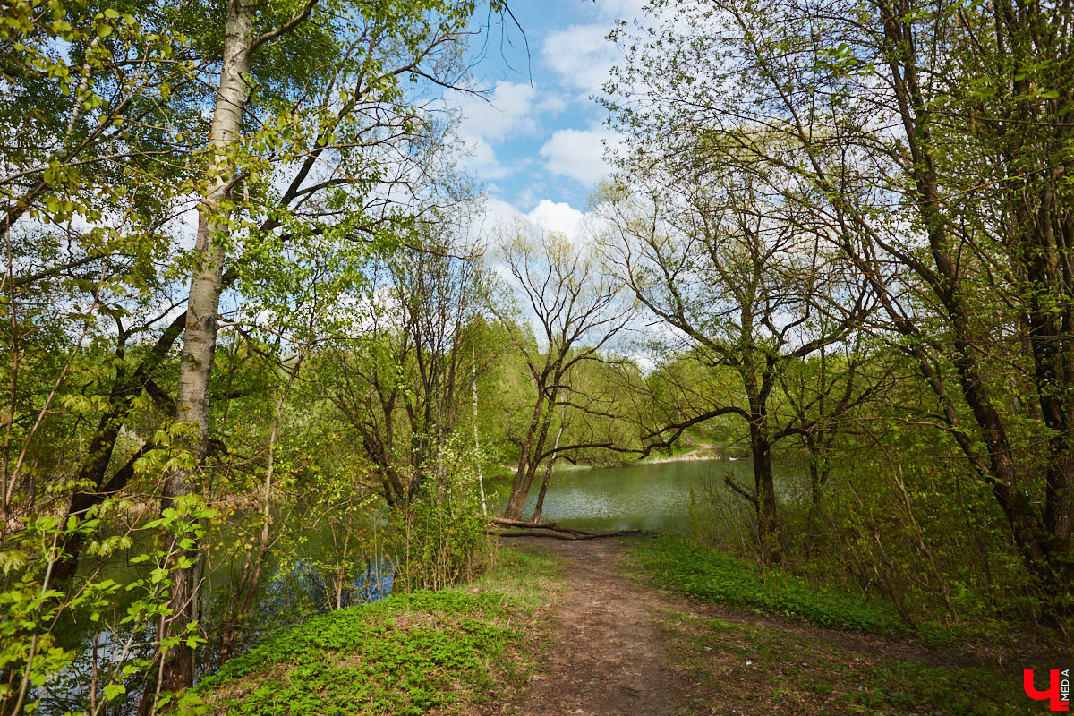 Только по официальным данным во Владимире больше сотни прудов, при этом благоустроены всего несколько из них. На остальных в лучшем случае не очень грязно. «Ключ-Медиа» проинспектировал самые популярные водоемы областного центра и спросил у местных жителей и экспертов, чего им не хватает, чтобы стать новой визитной карточкой города.