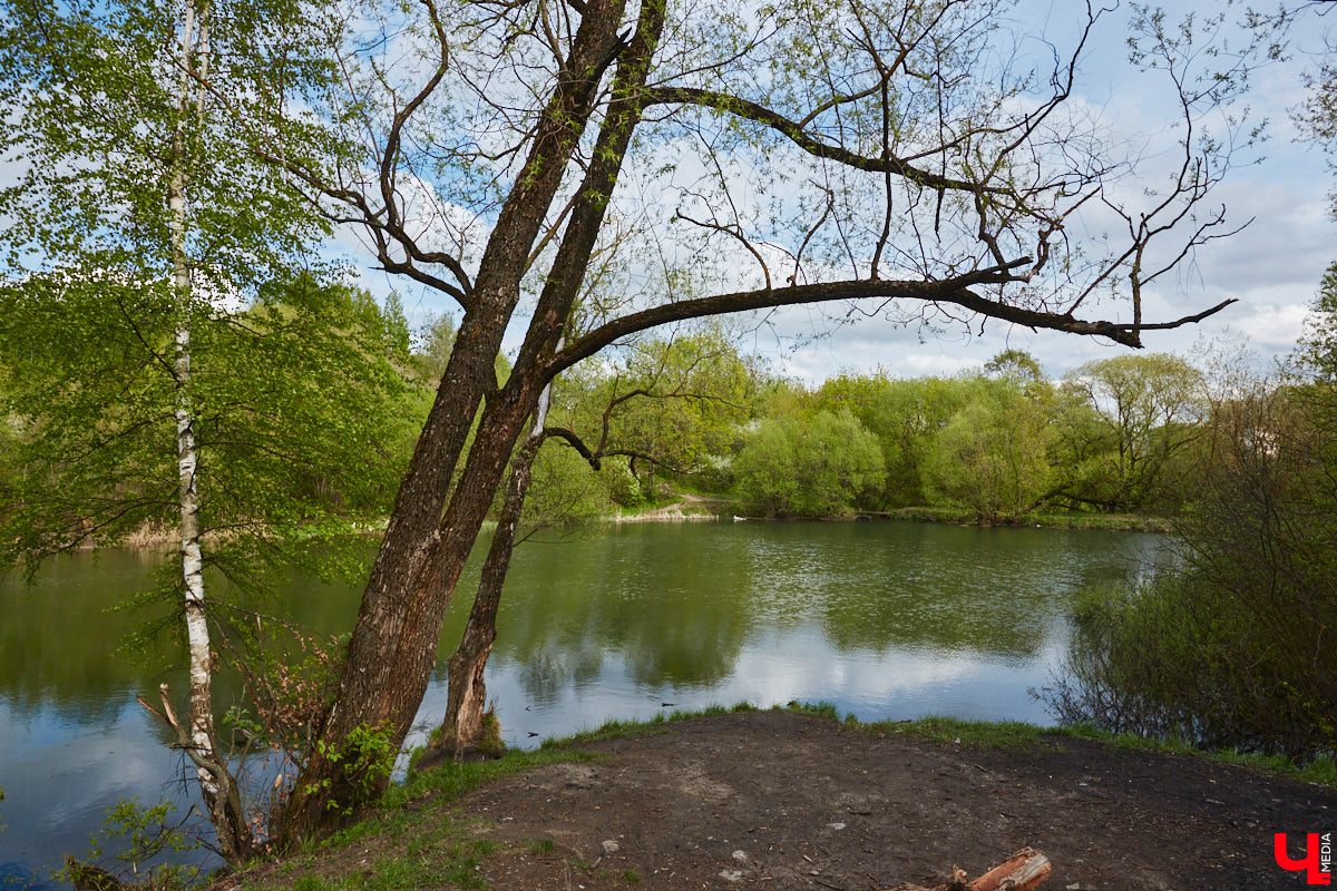 Только по официальным данным во Владимире больше сотни прудов, при этом благоустроены всего несколько из них. На остальных в лучшем случае не очень грязно. «Ключ-Медиа» проинспектировал самые популярные водоемы областного центра и спросил у местных жителей и экспертов, чего им не хватает, чтобы стать новой визитной карточкой города.